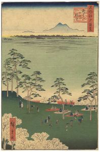 Hiroshige/100 Famous Views of Edo / View to the North from Mt. Asuka[名所江戸百景　飛鳥山北の眺望]