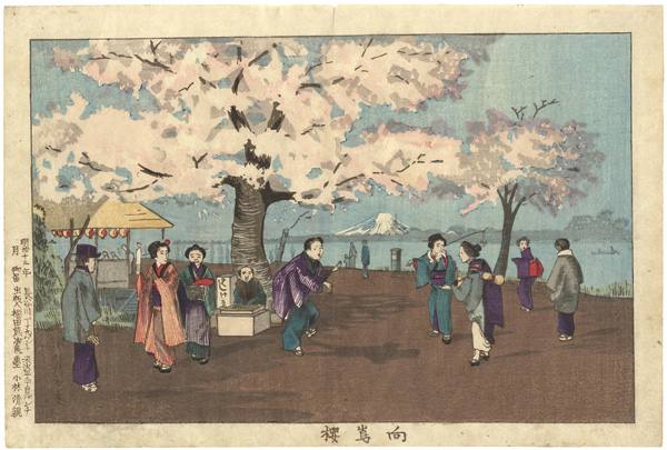 Kiyochika “Cherry Blossom at Mukojima”／