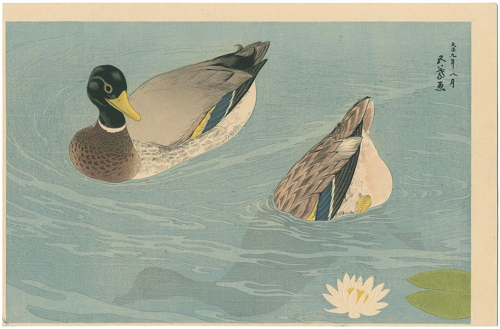 Hashiguchi Goyo “Ducks”／