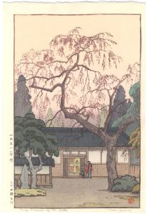 桜 Sakura