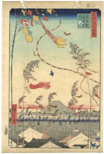 Hiroshige I/100 Famous Views of Edo / The City Flourishing, Tanabata Festival [名所江戸百景　市中繁栄七夕祭]