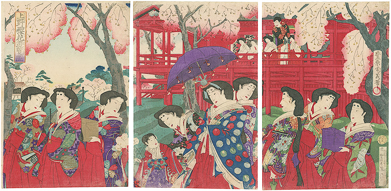 Chikayoshi “An Illustration of Enjoying Cherry Blossoms”／