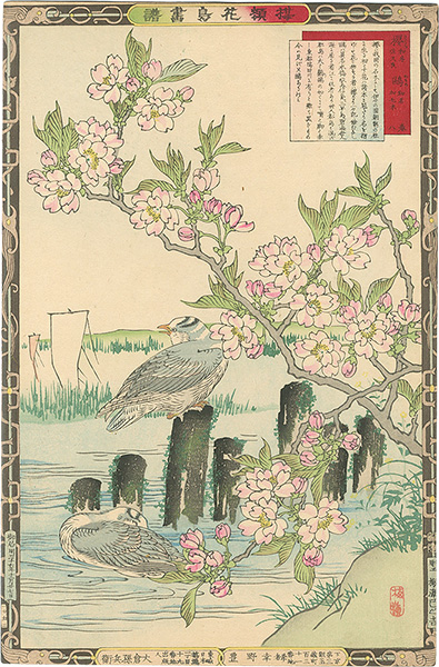 Bairei “Cherry Blossoms and Sea Gulls”／