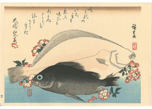 Hiroshige I/A Series of Fish Subjects / Flounder, Rockfish and Cherry Blossoms【Reproduction】[魚づくし　ひらめ・めばるに桜【復刻版】]