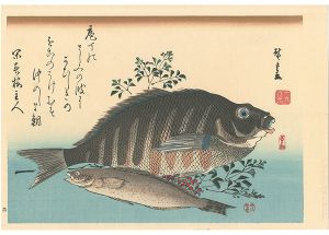 Hiroshige I/A Series of Fish Subjects / Barred knifejaw, Greenling and Heavenly bamboo【Reproduction】[魚づくし　しまだい・あいなめに南天【復刻版】]