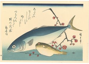 Hiroshige I/A Series of Fish Subjects / Yellowtail, Globefish and Plum【Reproduction】[魚づくし　いなだ・ふぐに梅【復刻版】]
