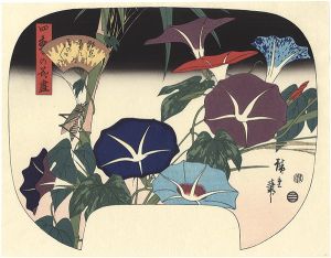 Hiroshige I/Enumeration of Flowers in the Four Seasons / Morning Glories【Reproduction】[四季の花尽　朝顔【復刻版】]