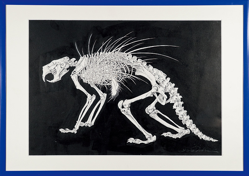 Takeda Hideo “Canadian porcupine(Erethizon dorsatum)”／