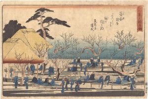 Hiroshige I/Famous Places in Edo / Plum Garden at Kameido[江戸名所　亀戸梅屋舗]