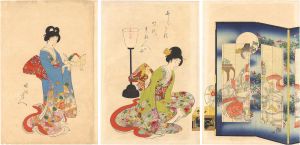 Chikanobu/Ladies of the Tokugawa Period[とくかは時代貴婦人の図]