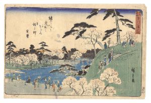 Hiroshige I/Famous Places in Edo / Open Garden at Fukagawa Hachiman Shrine[江戸名所　深川八幡山開]