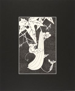 Jakuchu/Flowers of the Kunlun Mountains / Gourd 【Reproduction】[玄圃瑤華　糸瓜【復刻版】]