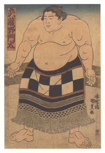 Kunisada I/Sumo Wrestler Musashino Monta[武蔵野門太]