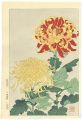 <strong>Kawarazaki Shodo</strong><br>Chrysanthemum