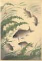 <strong>Ono Bakufu</strong><br>Great Japanese Fish Picture Co......