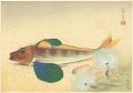 <strong>Ono Bakufu</strong><br>Great Japanese Fish Picture Co......