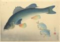 <strong>Ono Bakufu</strong><br>Great Japanese Fish Picture Co......