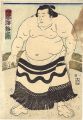 <strong>Unknown</strong><br>Sumo-e Shachinoumi Umekichi