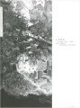 <strong>Keisei Kobayashi wood engravin......</strong><br>