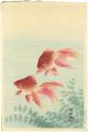 <strong>Ohara Shoson</strong><br>Goldfish