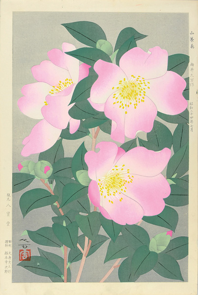 Mukai Kuma “Sasanqua (Camellia)”／