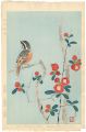 <strong>Nakamura Shundei</strong><br>Japanese Quince & Bunting