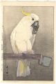 <strong>Yoshida Hiroshi</strong><br>At the Zoological Garden / Sul......