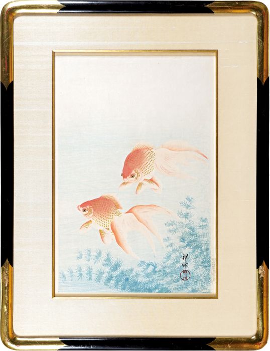 小原古邨（祥邨）｢金魚｣／