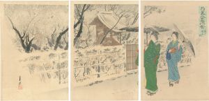 Gekko/Flowers and Beautiful Women at Famous Places / Garyo Bai (Reclining Dragon Plum Tree) at Kameido[花美人名所合　亀戸臥龍梅]