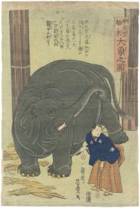 Yoshitoyo/The Great Elephant Imported from Central India[中天竺舶来 大象之図]