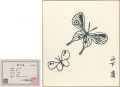 <strong>Yamashita Kiyoshi</strong><br>Shikishi Paper Board　Butterfly......