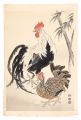 <strong>Kotozuka Eiichi</strong><br>Chickens