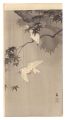 <strong>Ohara Koson(Shoson)</strong><br>Java Sparrows with Green Maple......