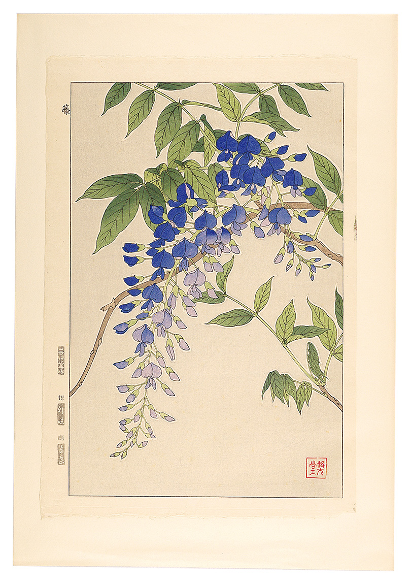 Kawarazaki Shodo “Floral Calendar of Japan / Wisteria”／