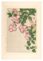 <strong>Kawarazaki Shodo</strong><br>Floral Calendar of Japan / Cra......