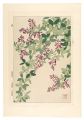 <strong>Kawarazaki Shodo</strong><br>Floral Calendar of Japan / Bus......