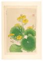 <strong>Kawarazaki Shodo</strong><br>Floral Calendar of Japan / Jap......