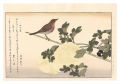 <strong>Utamaro</strong><br>Myriad Birds: A Kyoka Competit......