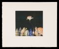 <strong>Sato Nobuo</strong><br>Flower of the Shell