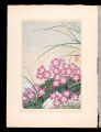<strong>Inoue Masaharu</strong><br>Japanese Alpine Plants / Primu......