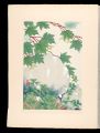 <strong>Inoue Masaharu</strong><br>Japanese Alpine Plants / Miyam......