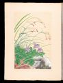 <strong>Inoue Masaharu</strong><br>Japanese Alpine Plants / Aquil......