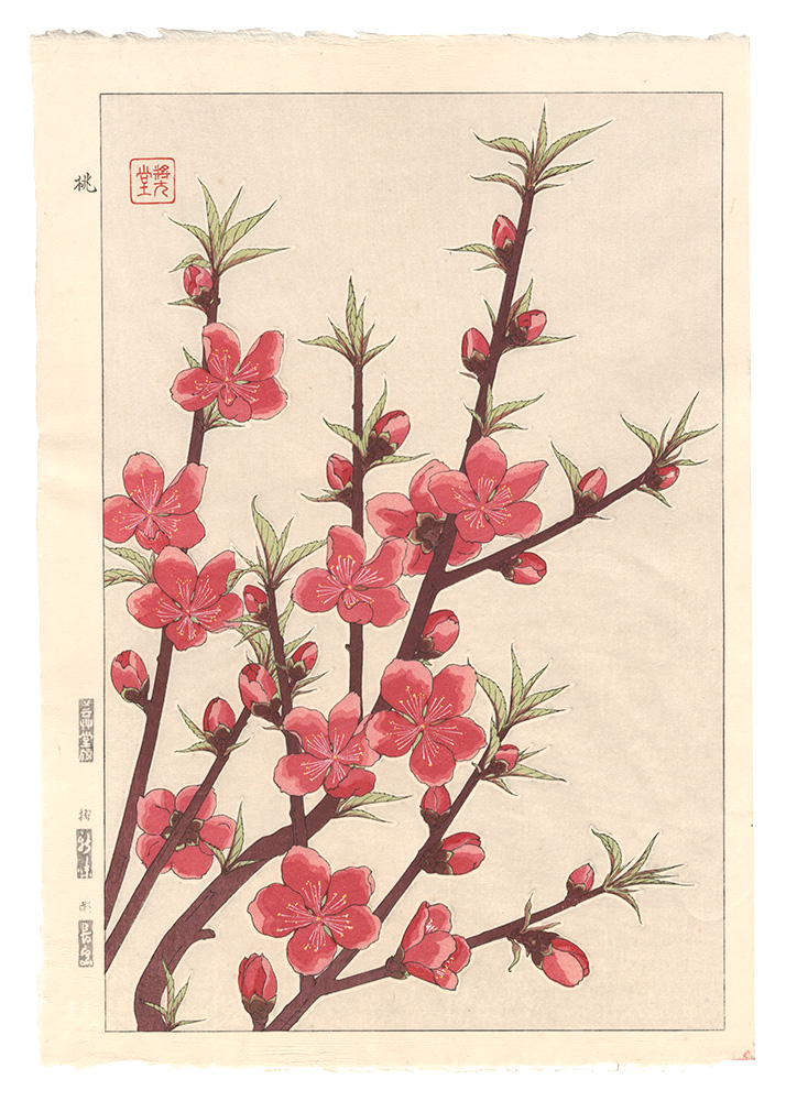 Kawarazaki Shodo “Floral Calendar of Japan / Peach”／