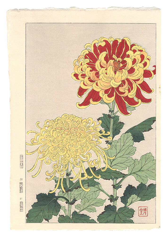 Kawarazaki Shodo “Floral Calendar of Japan / Chrysanthemum”／