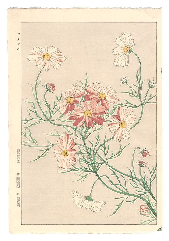 Kawarazaki Shodo “Floral Calendar of Japan / Cosmos”／