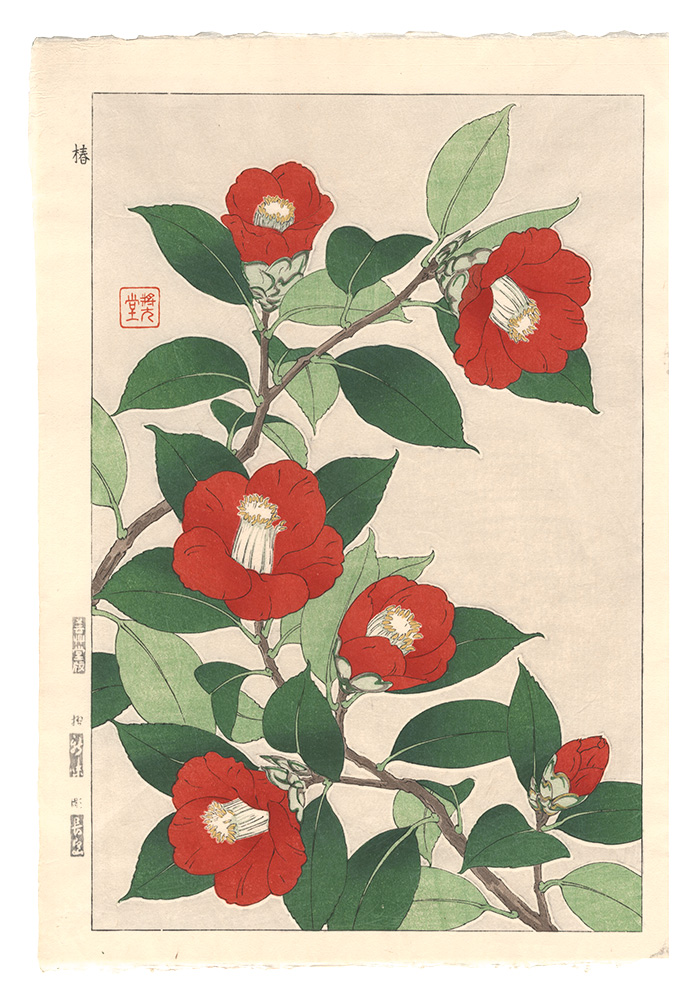 Kawarazaki Shodo “Floral Calendar of Japan / Camellia”／