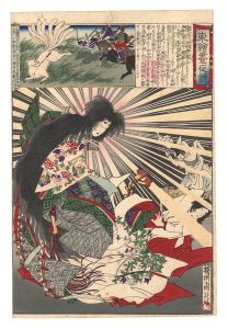 Eastern Brocade Prints: Comparison of Day and Night / Tamomo no Mae / Chikanobu