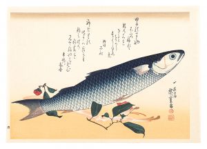 Hiroshige I/A Series of Fish Subjects / Striped mullet and Udo【Reproduction】[魚づくし　ぼらにうど【復刻版】]