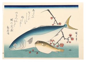 Hiroshige I/A Series of Fish Subjects / Yellowtail, Globefish and Plum【Reproduction】[魚づくし　いなだ・ふぐに梅【復刻版】]