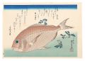 <strong>Hiroshige I</strong><br>A Series of Fish Subjects / Se......